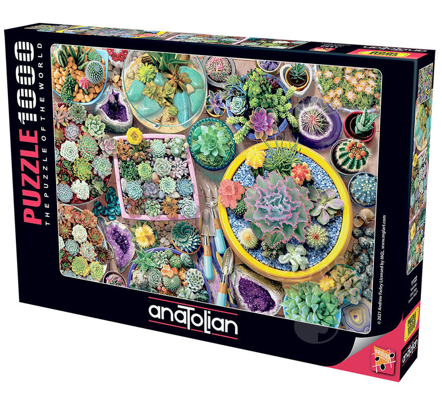 Anatolian Cacti Pots Puzzle 1000pcs