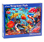 Vermont Christmas Co. Tropical Fish Puzzle 1000pcs