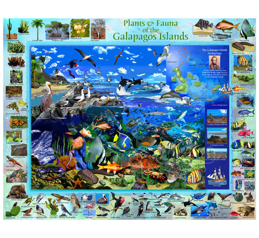 Vermont Christmas Co. Galapagos Puzzle 1000pcs RETIRED