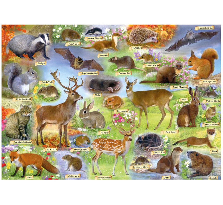 Gibsons British Wildlife Puzzle 500pcs