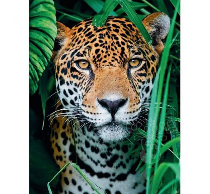 Clementoni Jaguar in the Jungle Puzzle 500pcs