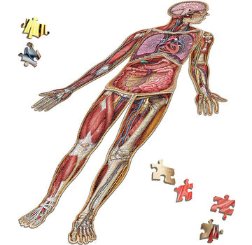 Dr. Livingston Dr. Livingston's Anatomy: Full Body Puzzle Set
