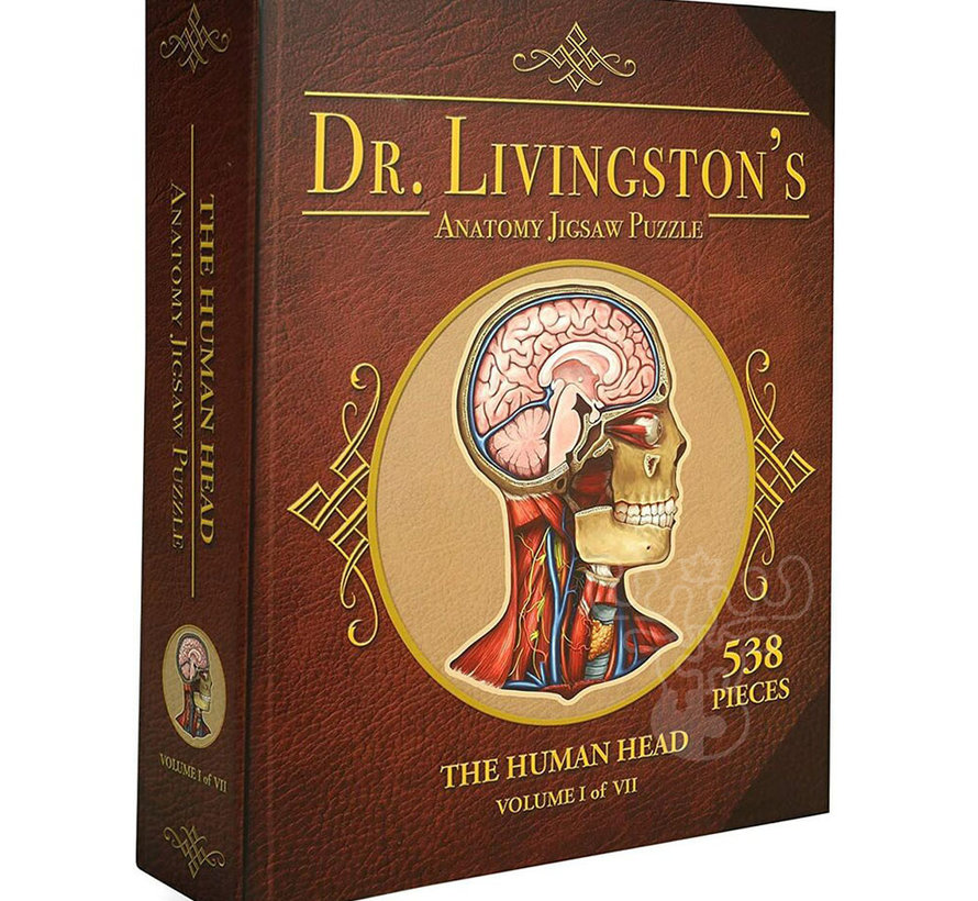 Dr. Livingston's Anatomy: The Human Head Puzzle 538pcs