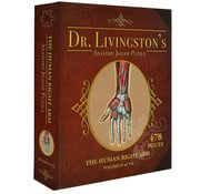 Dr. Livingston Dr. Livingston's Anatomy: The Human Right Arm Puzzle 478pcs