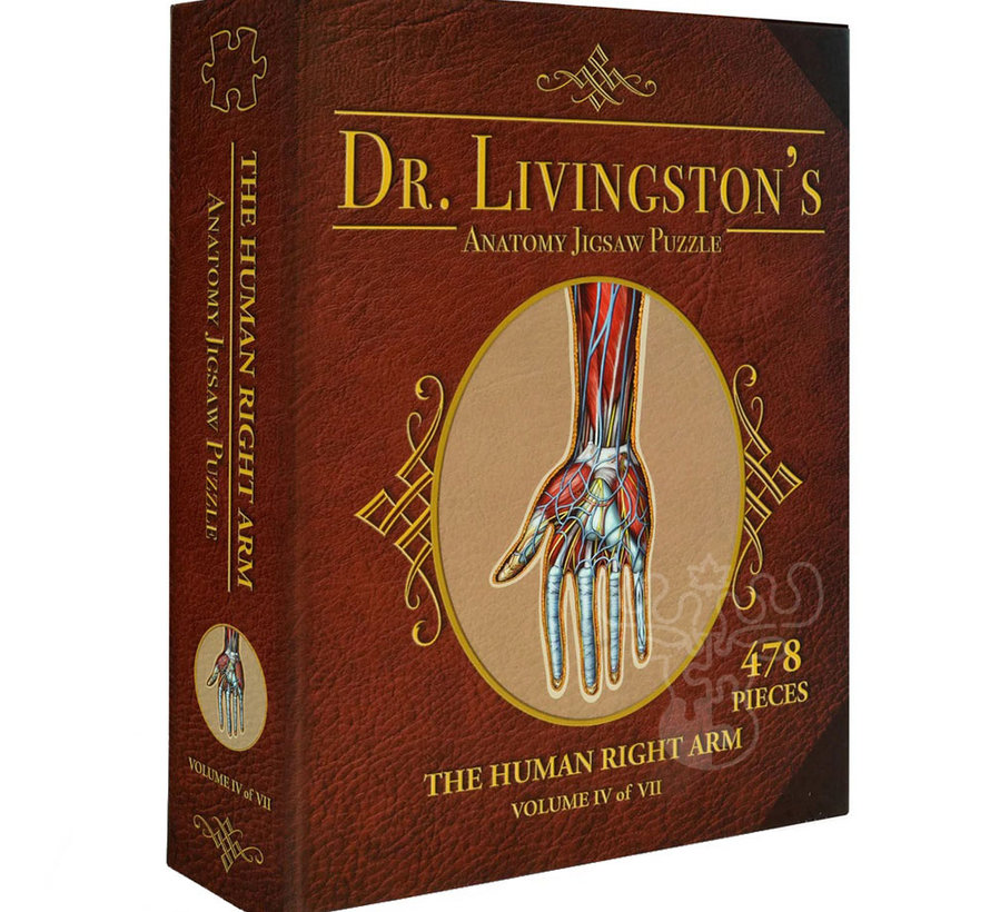 Dr. Livingston's Anatomy: The Human Right Arm Puzzle 478pcs
