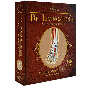Dr. Livingston Dr. Livingston's Anatomy: The Human Right Leg Puzzle 848pcs
