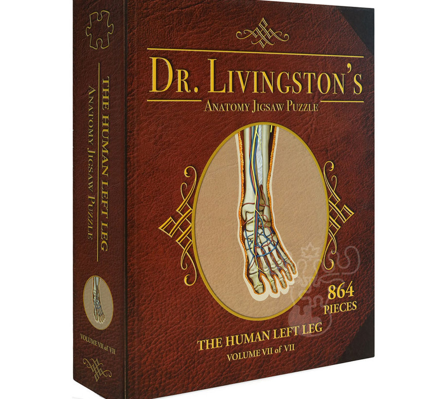 Dr. Livingston's Anatomy: The Human Left Leg Puzzle 864pcs