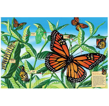 Cobble Hill Puzzles Cobble Hill  Life Cycle of a Monarch Butterfly Floor Puzzle 48pcs