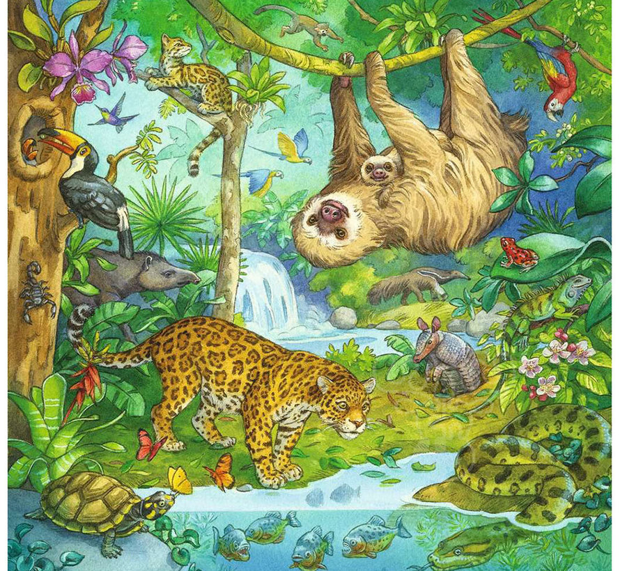 Ravensburger Jungle Fun Puzzle 3 x 49pcs