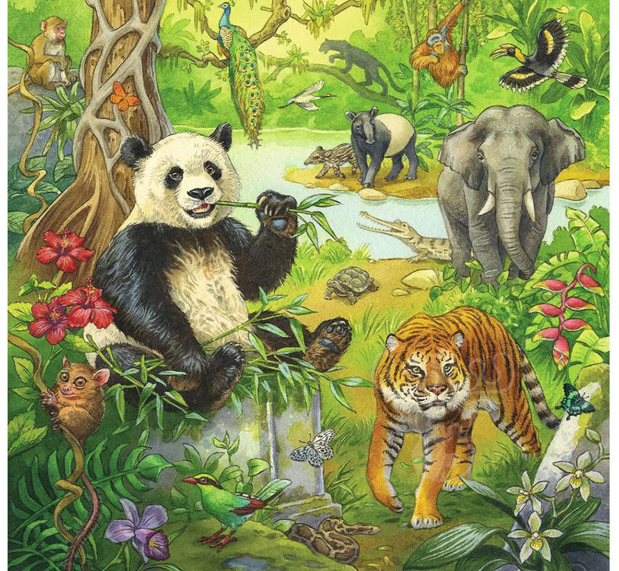 Ravensburger Jungle Fun Puzzle 3 x 49pcs