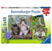 Ravensburger Ravensburger Cuddly Kittens Puzzle 3 x 49pcs