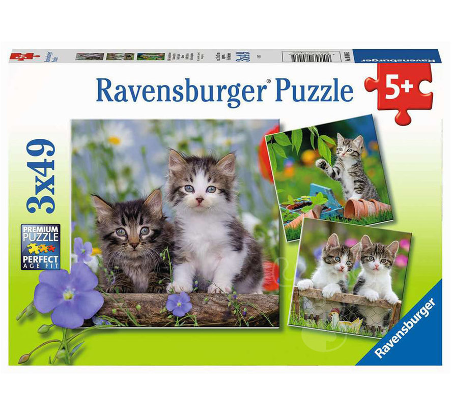 Ravensburger Cuddly Kittens Puzzle 3 x 49pcs