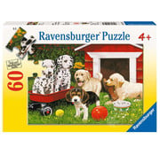 Ravensburger Ravensburger Puppy Party Puzzle 60pcs