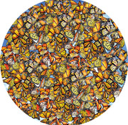 SunsOut SunsOut Monarch Frenzy Round Puzzle 1000pcs