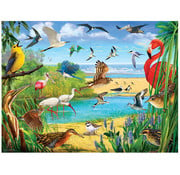 SunsOut SunsOut Florida Birds Puzzle 1000pcs