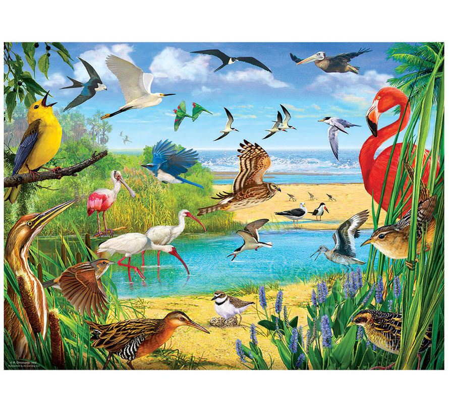 SunsOut Florida Birds Puzzle 1000pcs