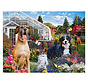SunsOut Conservatory Garden Canines Puzzle 1000pcs