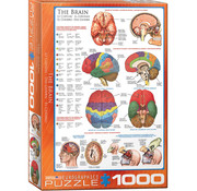 Eurographics Eurographics Education: The Brain Puzzle 1000pcs