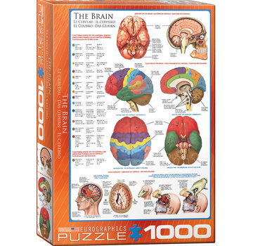 Eurographics Eurographics Education: The Brain Puzzle 1000pcs