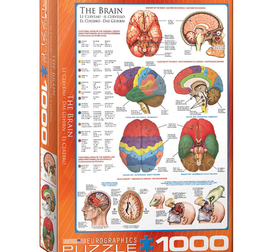 Eurographics The Brain Puzzle 1000pcs