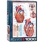 Eurographics Education: The Heart Puzzle 1000pcs