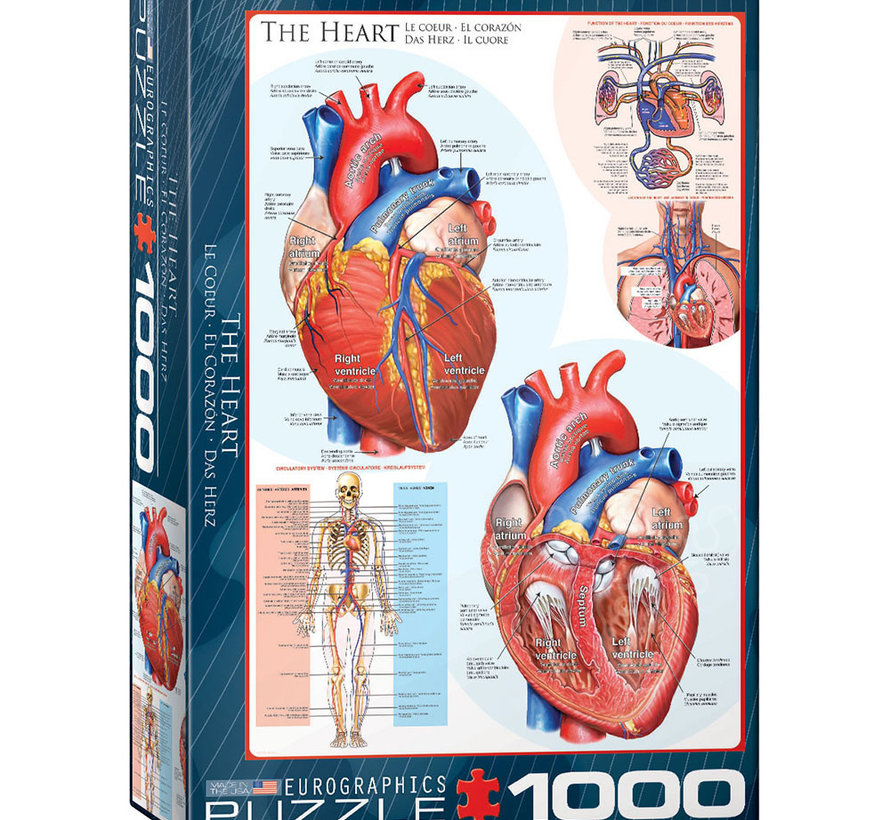 Eurographics Education: The Heart Puzzle 1000pcs