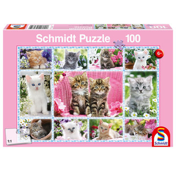 Schmidt Schmidt Kittens Puzzle 100pcs