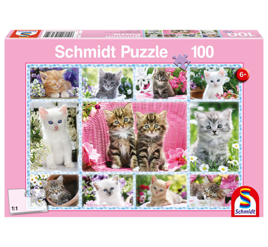 Schmidt Kittens Puzzle 100pcs