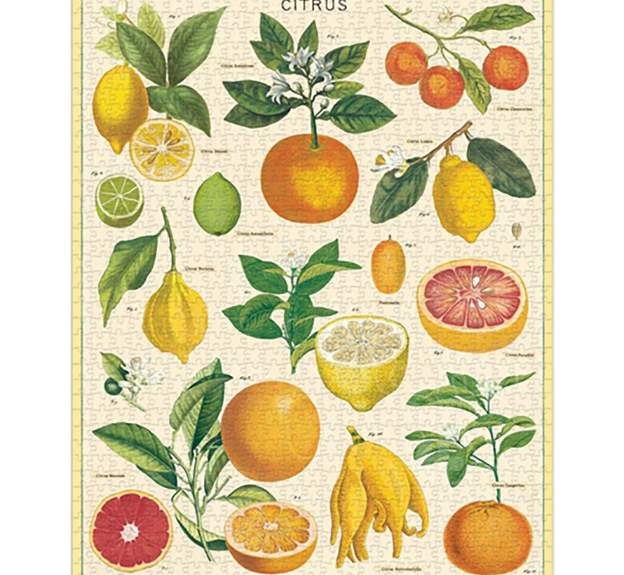 Cavallini Vintage: Citrus Puzzle 1000pcs
