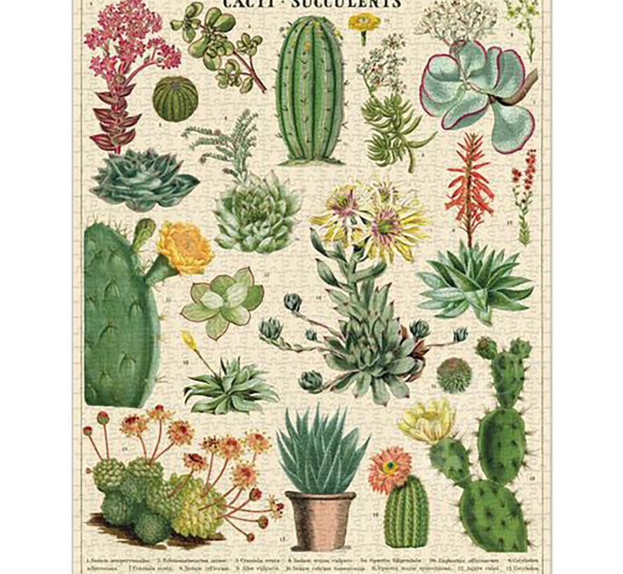 Cavallini Vintage: Cacti & Succulents Puzzle 1000pcs