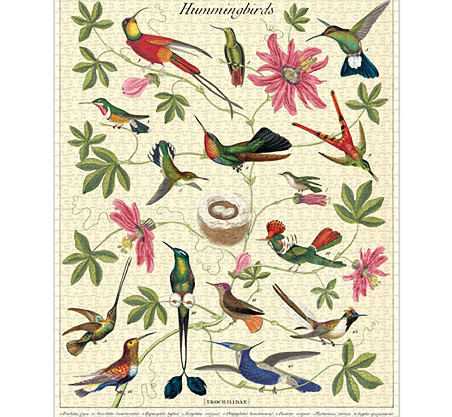 Cavallini Vintage: Hummingbirds Puzzle 1000pcs
