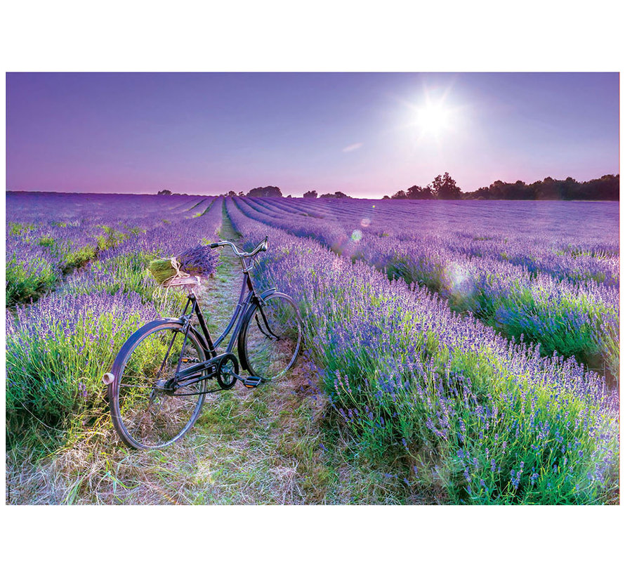 Educa Bike in a Lavender Field Puzzle 1000pcs