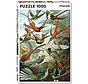 Piatnik Heackel - Hummingbirds Puzzle 1000pcs