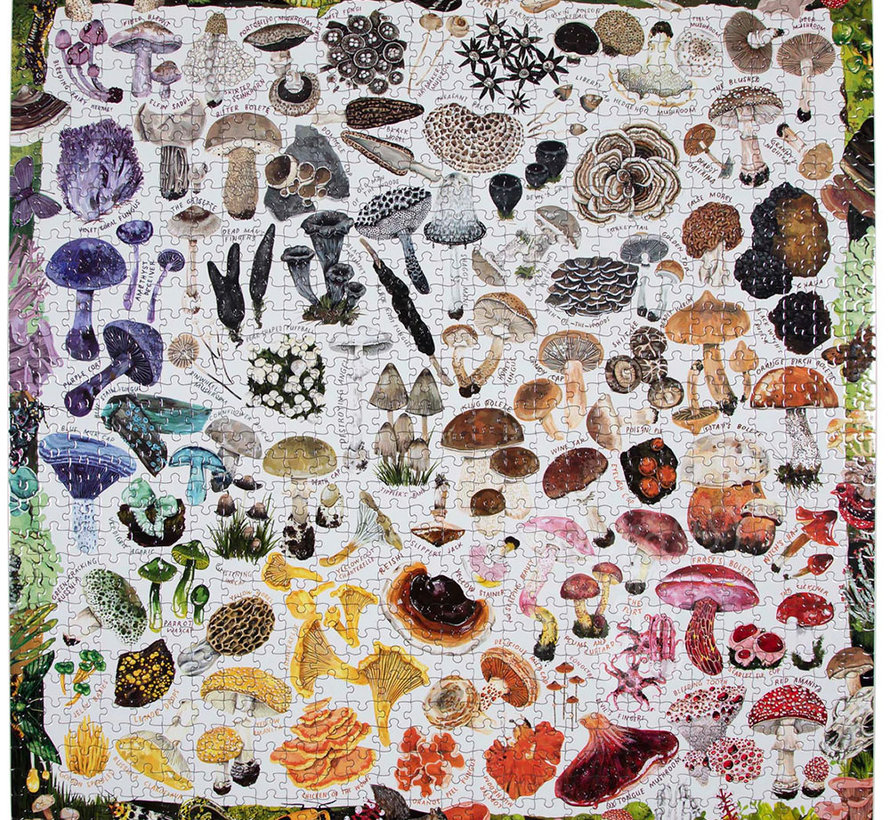 eeBoo Mushroom Rainbow Puzzle 1000pcs