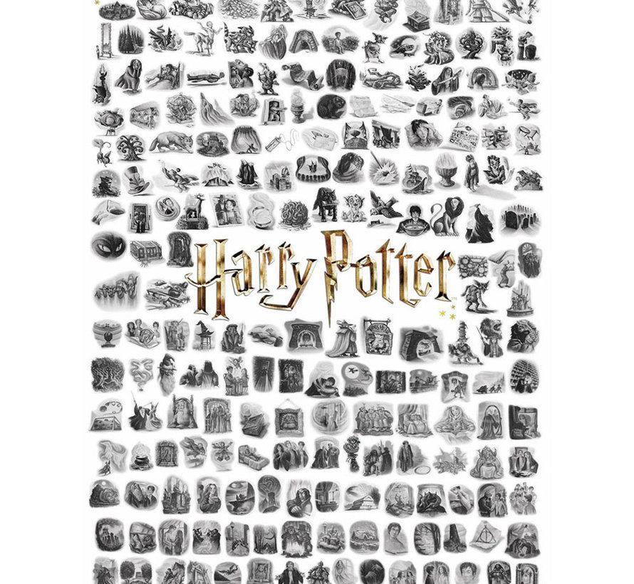 New York Puzzle Co. Harry Potter: Chapter Art Puzzle 1000pcs