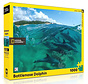 FINAL SALE New York Puzzle Co. National Geographic: Bottlenose Dolphins Puzzle 1000pcs**