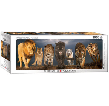 Eurographics Eurographics Panoramic: Big Cats Panoramic Puzzle 1000pcs RETIRED