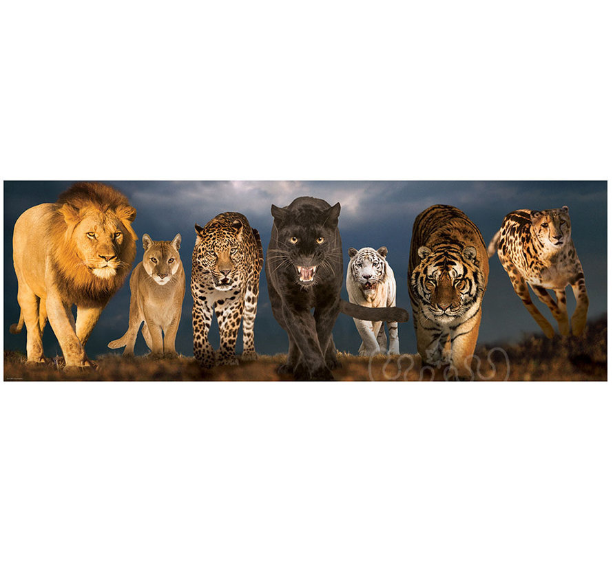 Eurographics Panoramic: Big Cats Panoramic Puzzle 1000pcs RETIRED