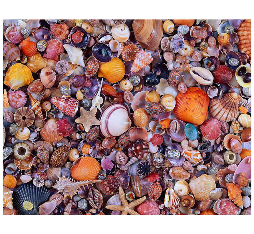 Piatnik Sea Shells Puzzle 1000pcs RETIRED