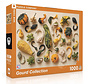 New York Puzzle Co. JGS: Gourd Collection Puzzle 1000pcs