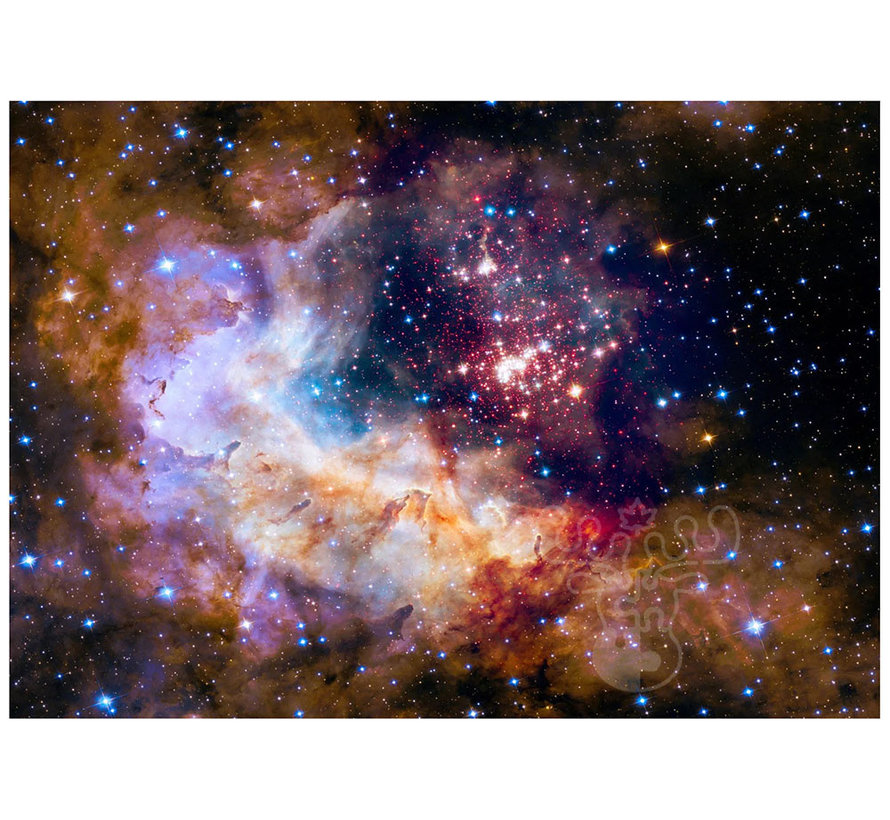 Enjoy Star Cluster in the Milky Way Galaxy Puzzle 1000pcs