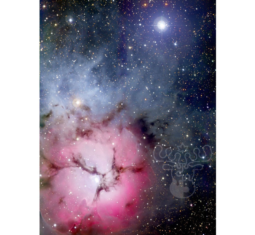 Enjoy The Trifid Nebula Puzzle 1000pcs