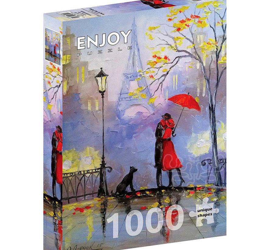 Enjoy Rainy Day in Paris Puzzle 1000pcs