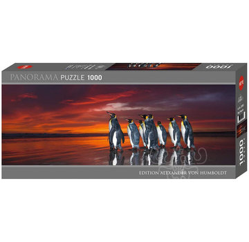 Heye Heye Edition Alexander von Humboldt: King Penguins Panorama Puzzle 1000pcs