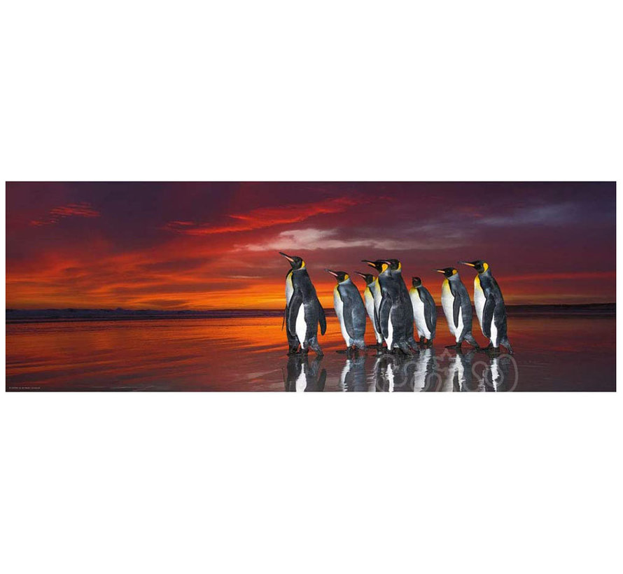 Heye Edition Alexander von Humboldt: King Penguins Panorama Puzzle 1000pcs