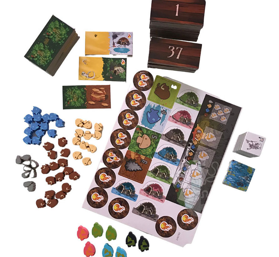FINAL SALE Kingdomino Origins