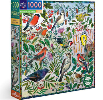 EeBoo eeBoo Birds of Scotland Puzzle 1000pcs
