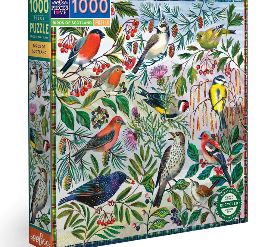 eeBoo Birds of Scotland Puzzle 1000pcs