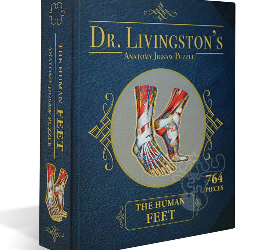 Dr. Livingston's Anatomy: The Human Feet Puzzle 764pcs