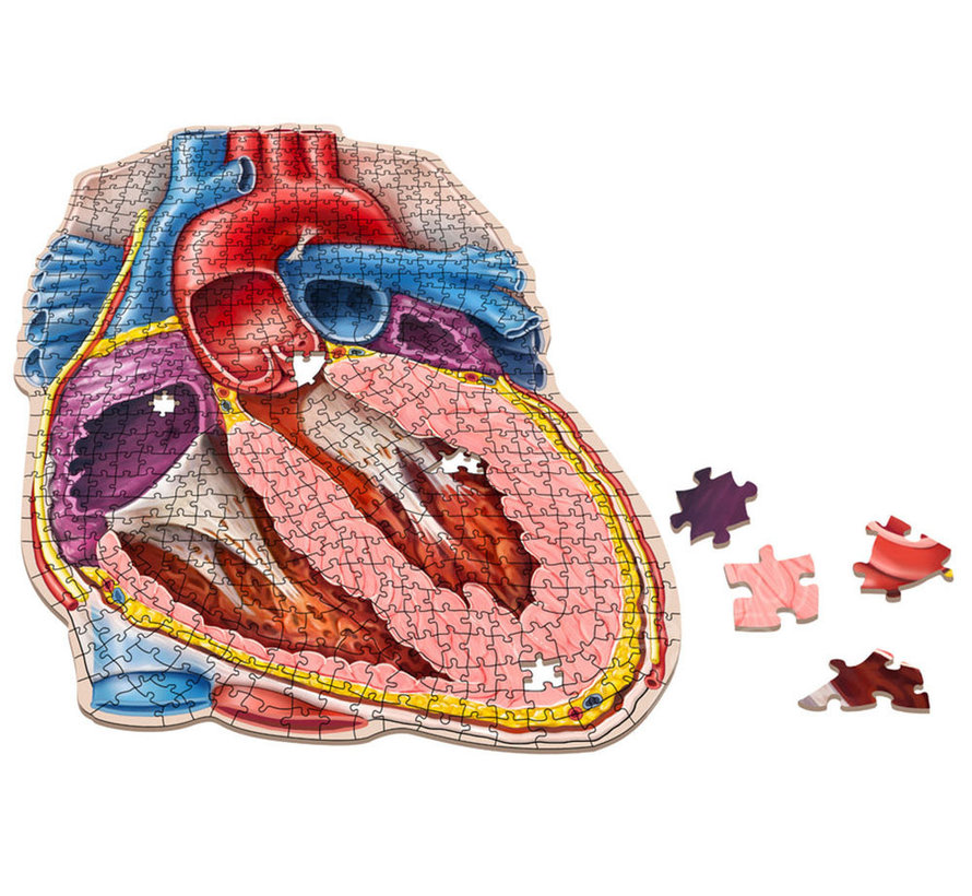 Dr. Livingston's Anatomy: The Human Heart Puzzle 597pcs